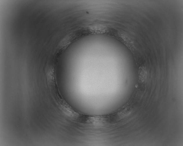 X0000072970713200607211223