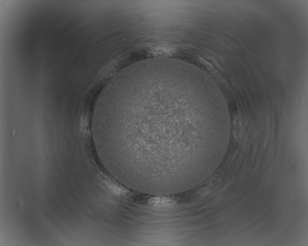 X0000072970714200607211223