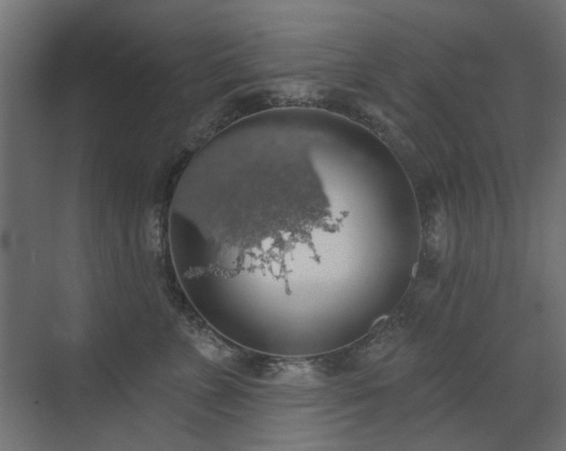 X0000072970715200607211223