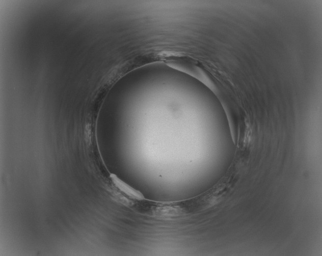 X0000072970716200607211223