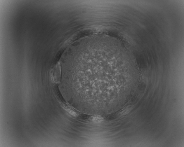 X0000072970719200607211223