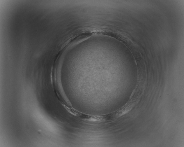 X0000072970720200607211223