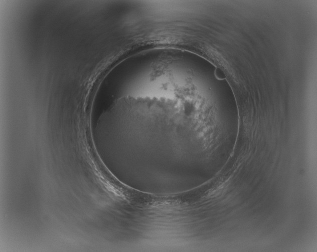 X0000072970721200607211222