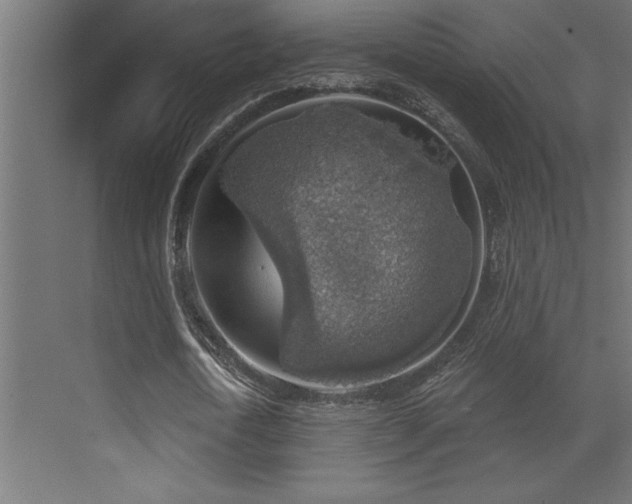 X0000072970722200607211222