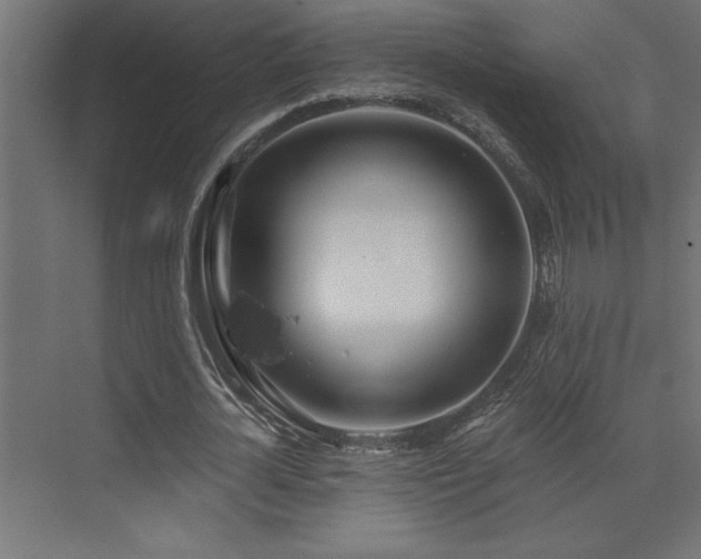 X0000072970724200607211222