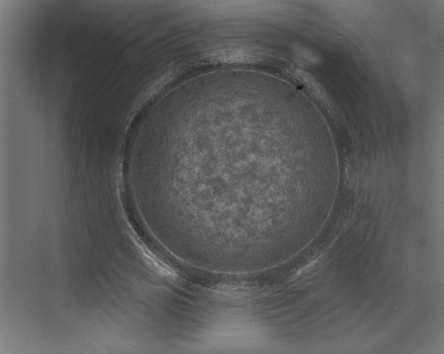 X0000072970725200607211222