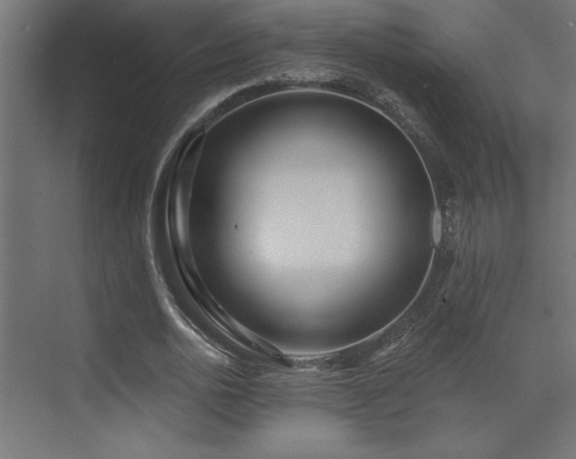 X0000072970726200607211222