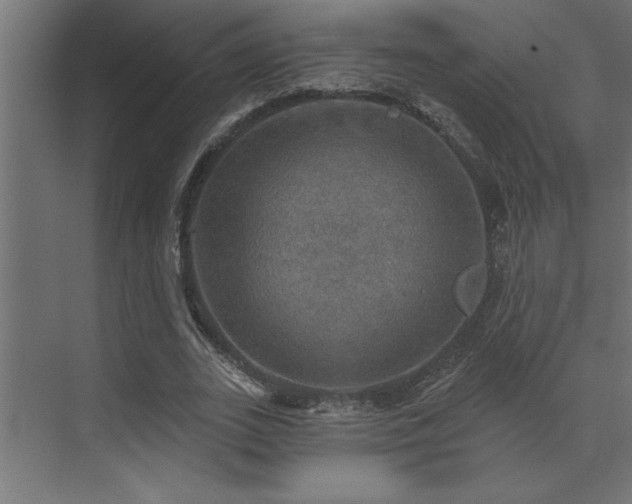 X0000072970727200607211222