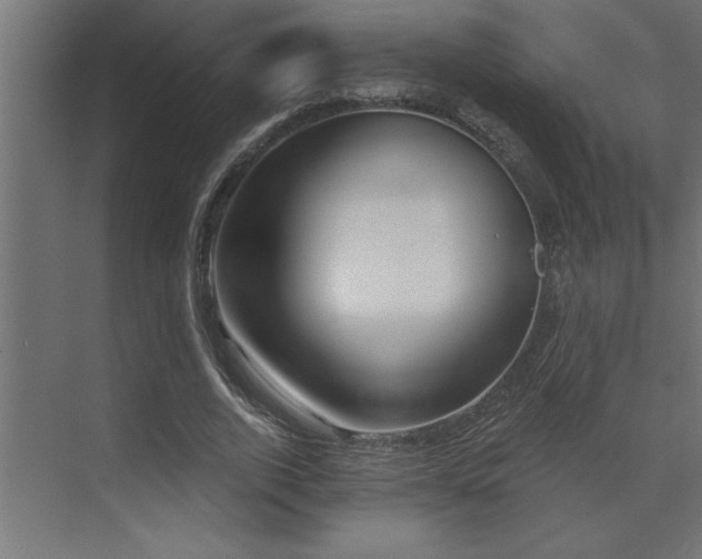 X0000072970728200607211222