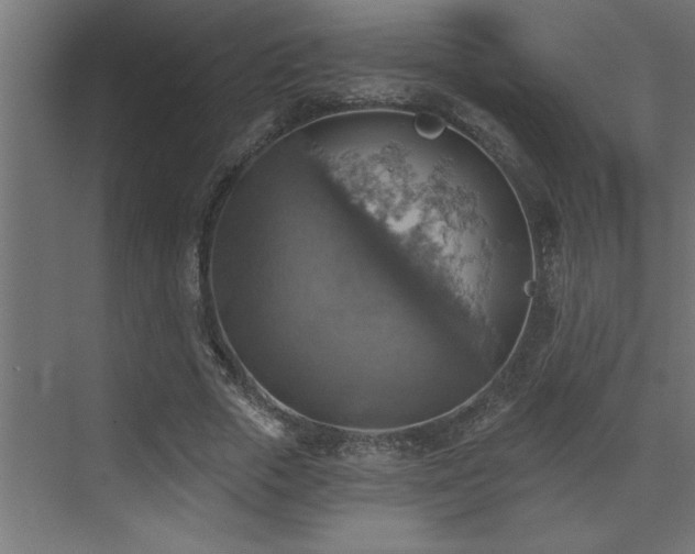 X0000072970729200607211222