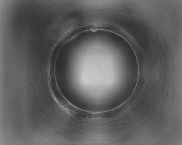 X0000072970730200607211222