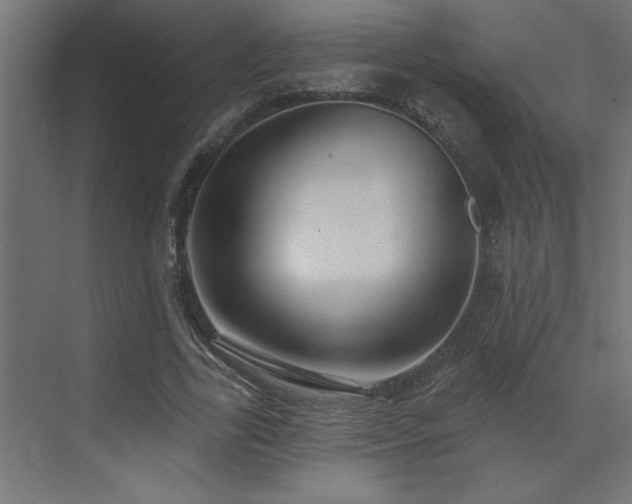 X0000072970731200607211222