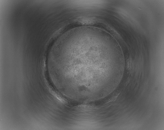 X0000072970733200607211222