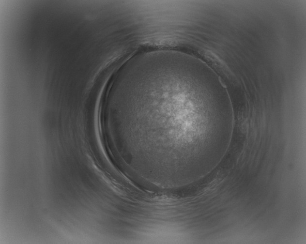 X0000072970735200607211222