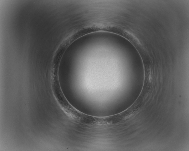 X0000072970736200607211223