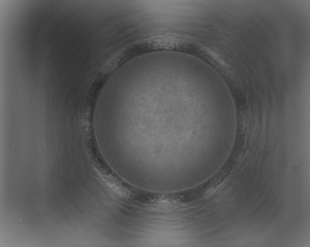 X0000072970737200607211223