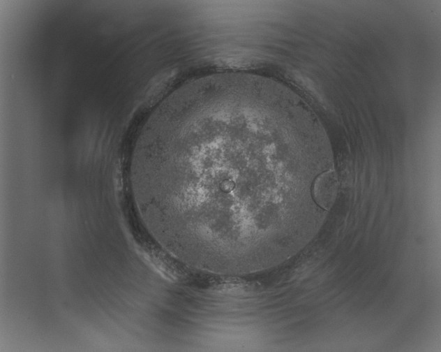 X0000072970738200607211223