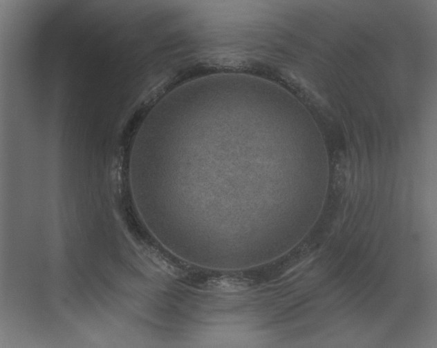 X0000072970739200607211223