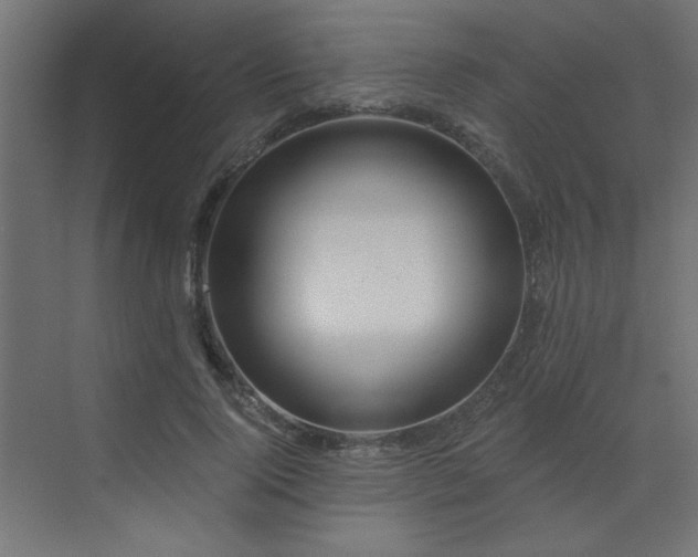 X0000072970740200607211223