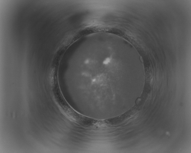 X0000072970742200607211223