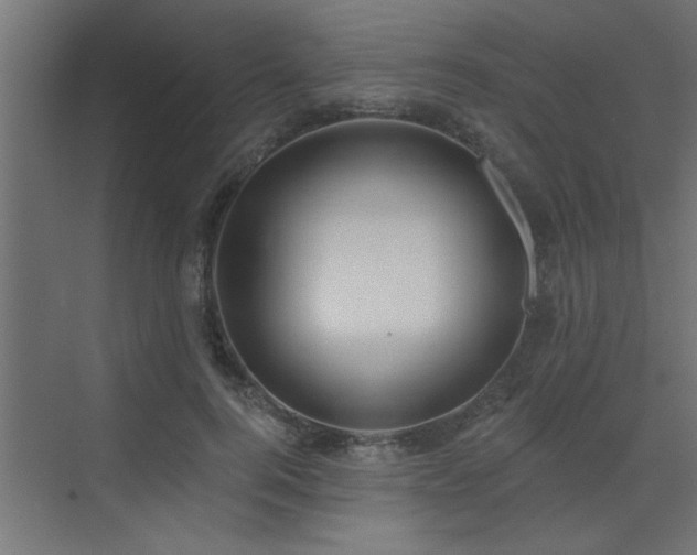 X0000072970744200607211223