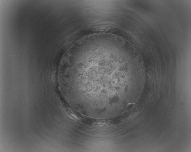 X0000072970745200607211223