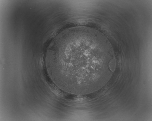 X0000072970746200607211223