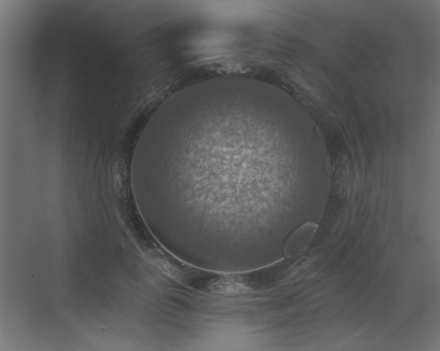 X0000072970747200607211223