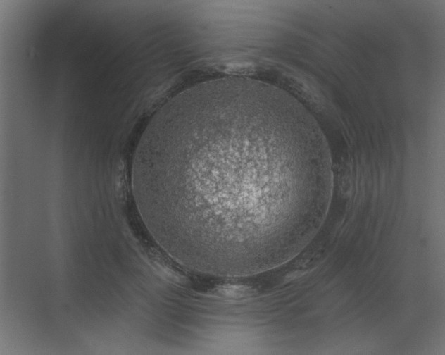 X0000072970748200607211223