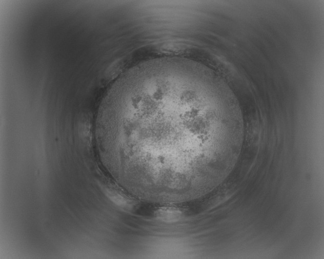 X0000072970749200607211223