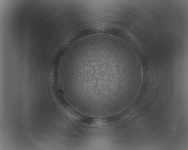 X0000072970750200607211223