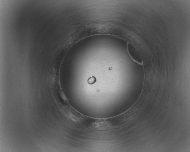 X0000072970752200607211223