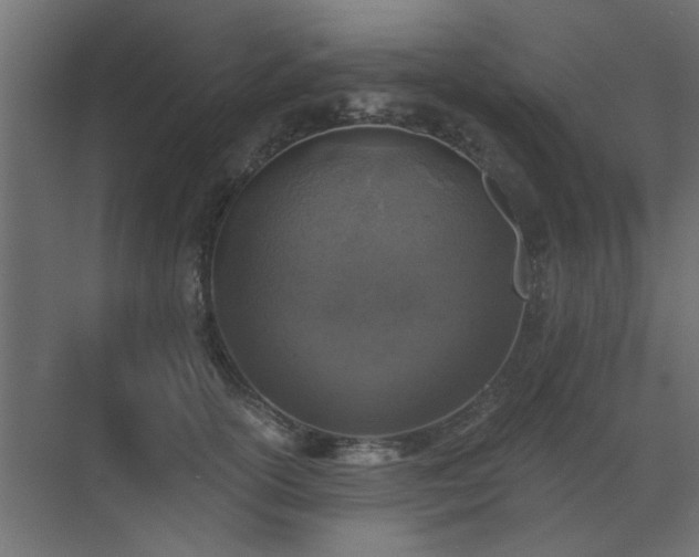 X0000072970754200607211223