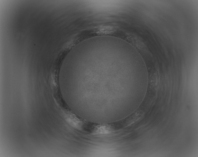 X0000072970755200607211223