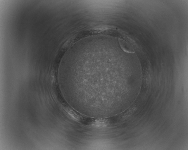 X0000072970758200607211223