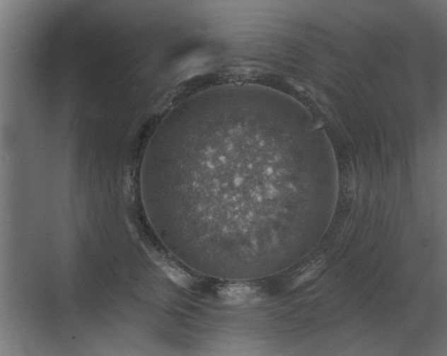 X0000072970759200607211223