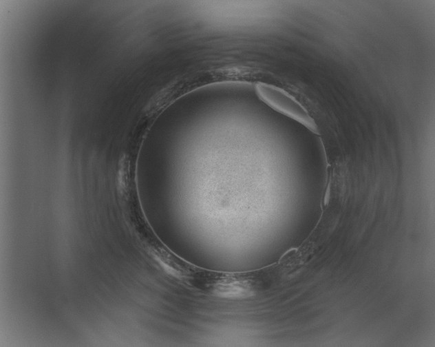 X0000072970760200607211223