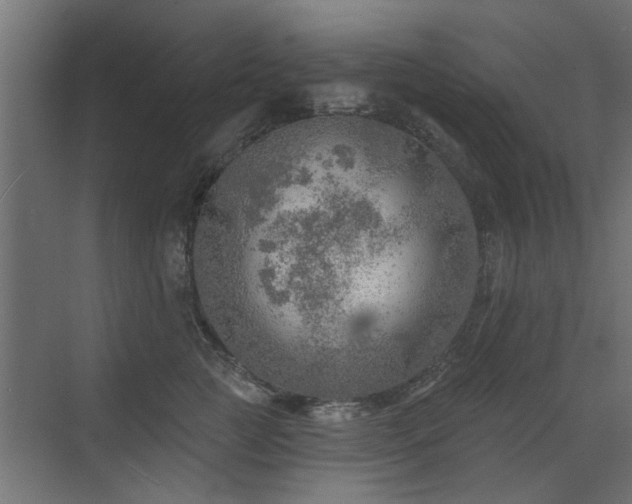 X0000072970761200607211223