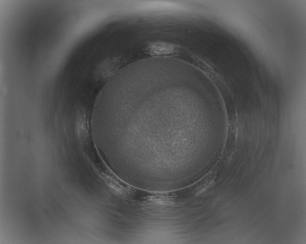 X0000072970763200607211223