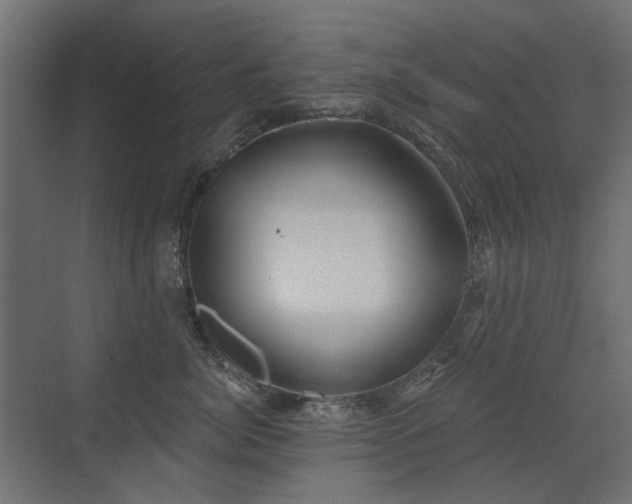 X0000072970764200607211223