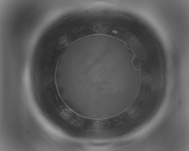 X0000072970765200607211223