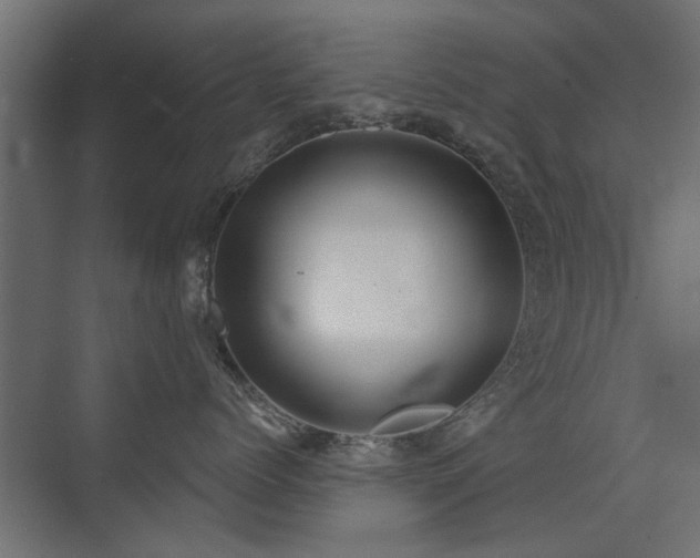 X0000072970768200607211223