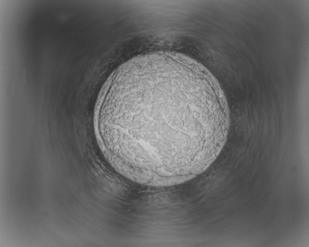 X0000072970769200607211222