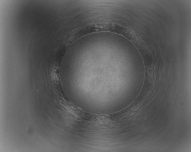 X0000072970770200607211222