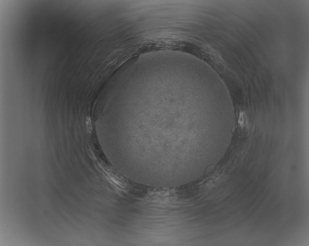 X0000072970771200607211222