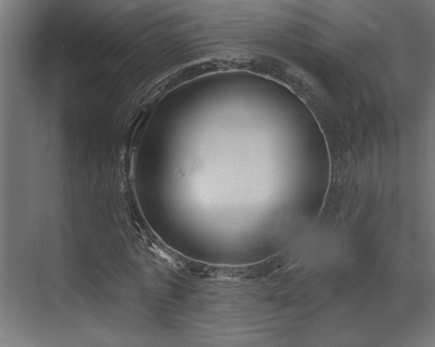 X0000072970773200607211222