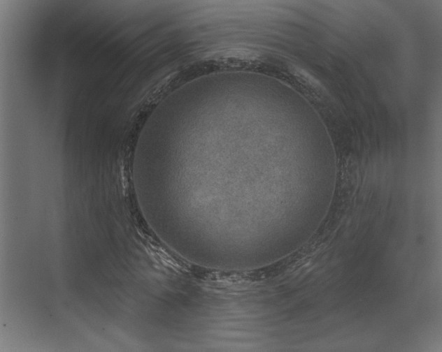 X0000072970774200607211222