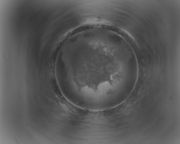 X0000072970775200607211222