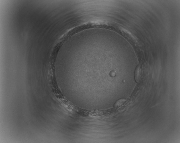 X0000072970776200607211222