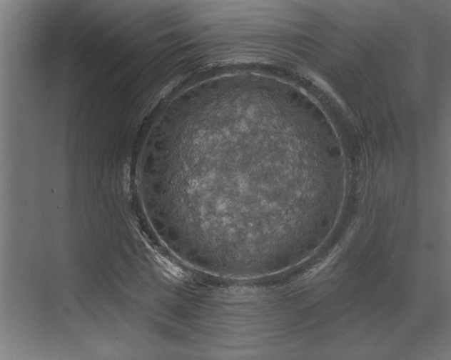 X0000072970777200607211222